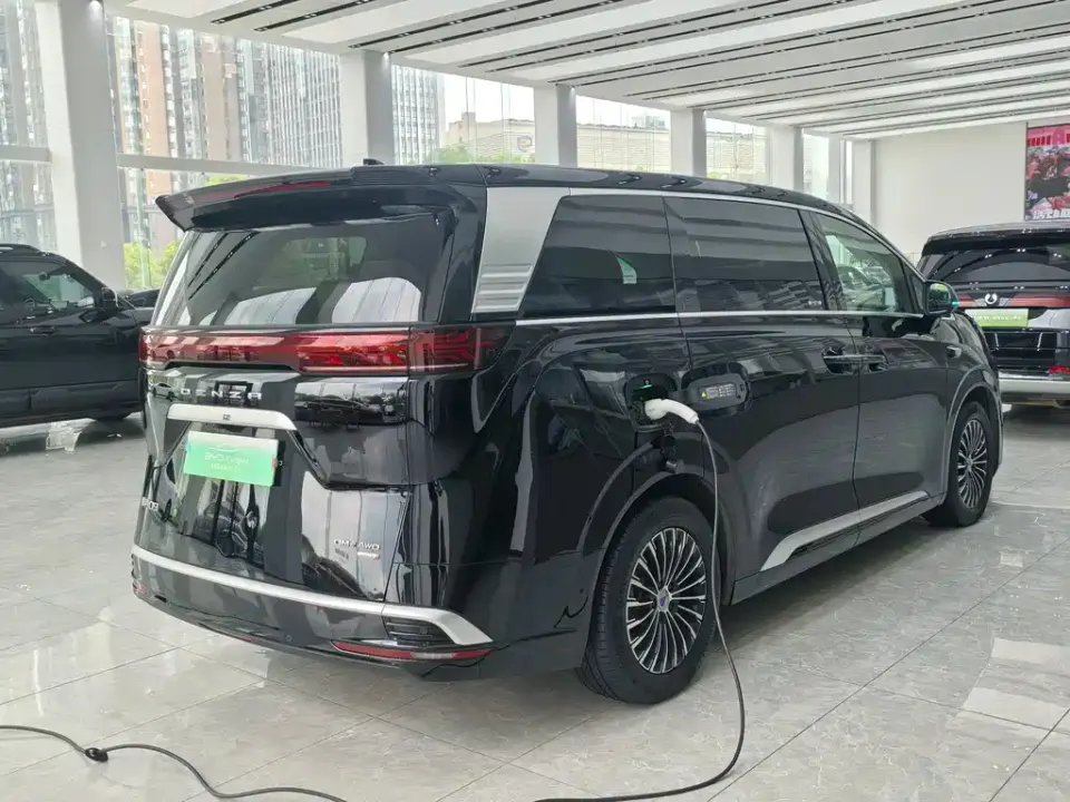 Denza Denza D9