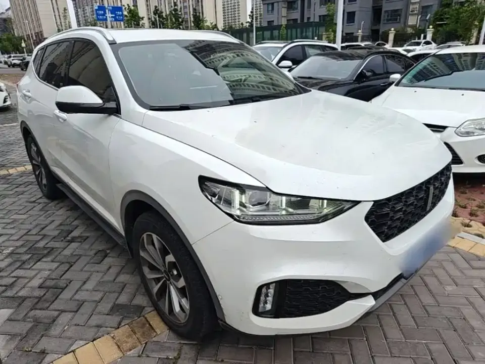 WEY Wey VV6