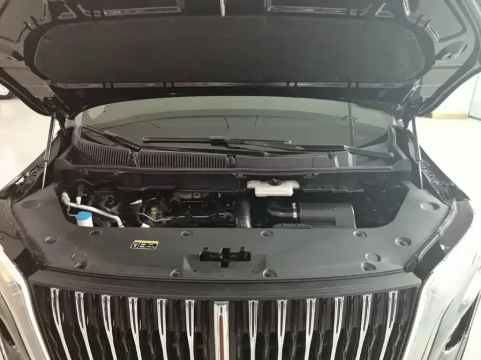 Hongqi Hongqi HQ9