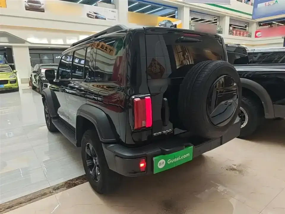 Tank 300