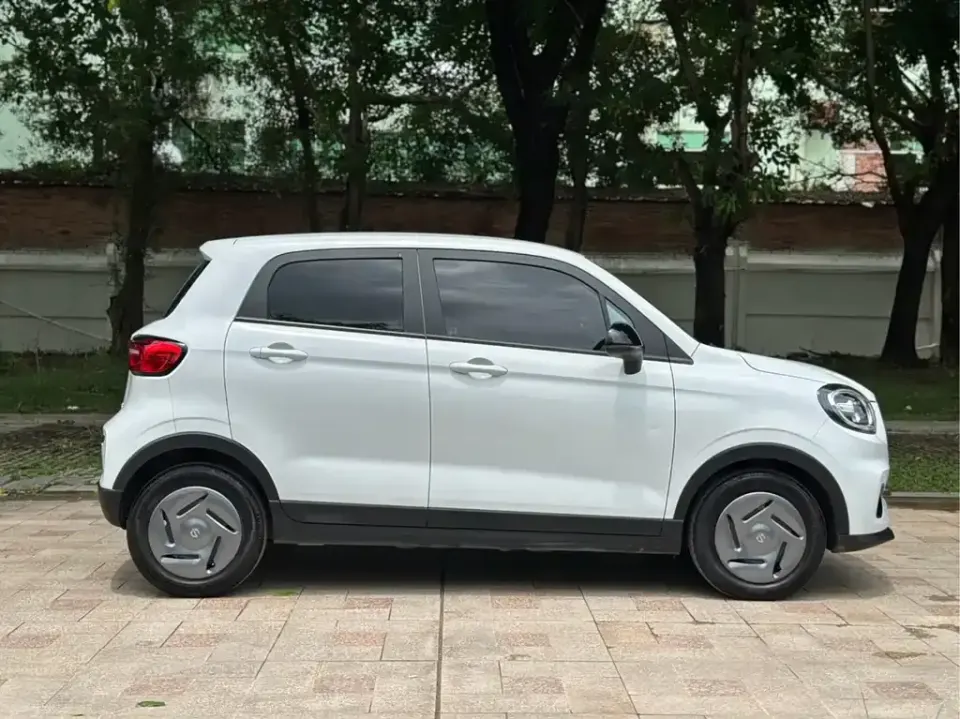 Leapmotor Leapmotor T03