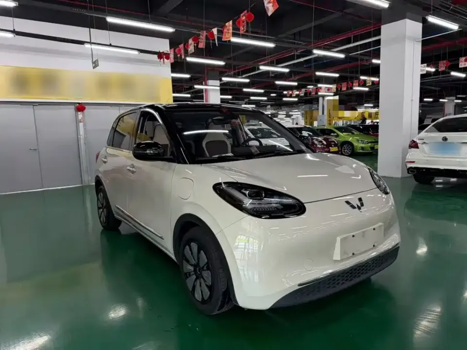 Wuling Bingo