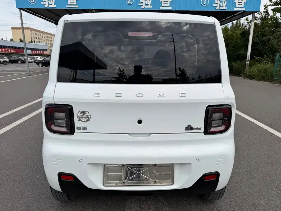 Galaxy Panda