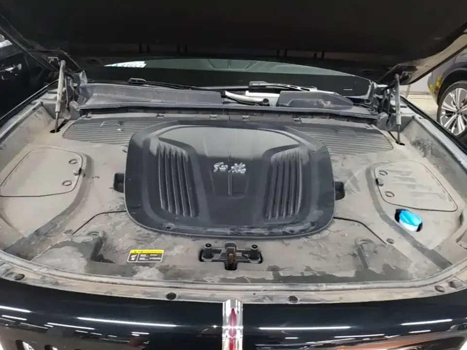 Hongqi Hongqi E-HS9