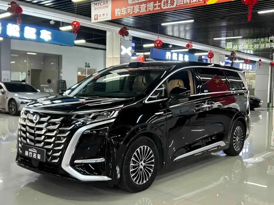 Denza Denza D9