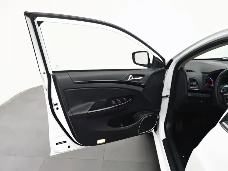 BYD Surui