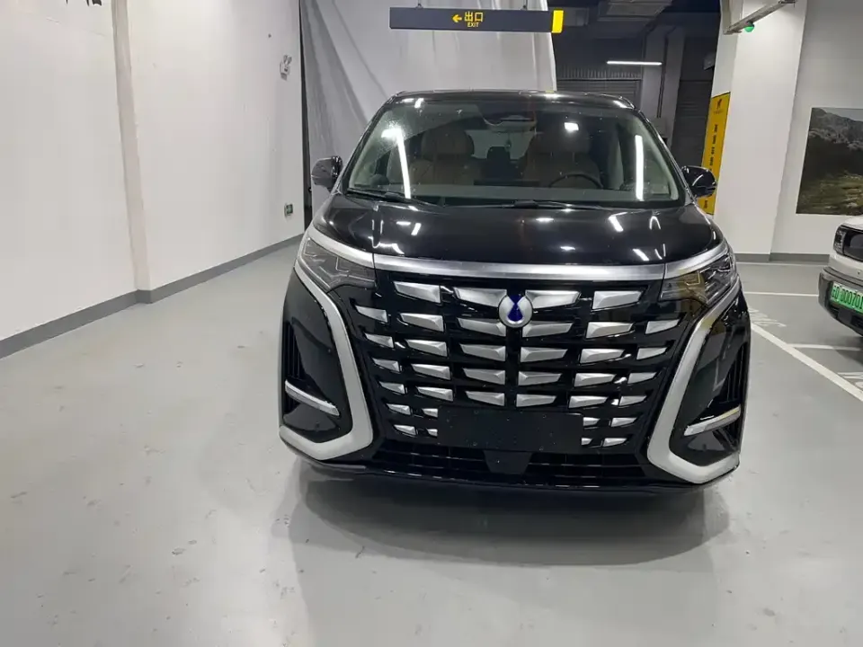 Denza Denza D9