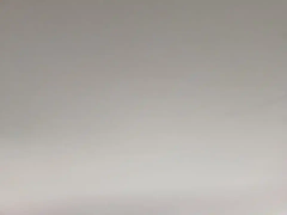 Neta Neta V