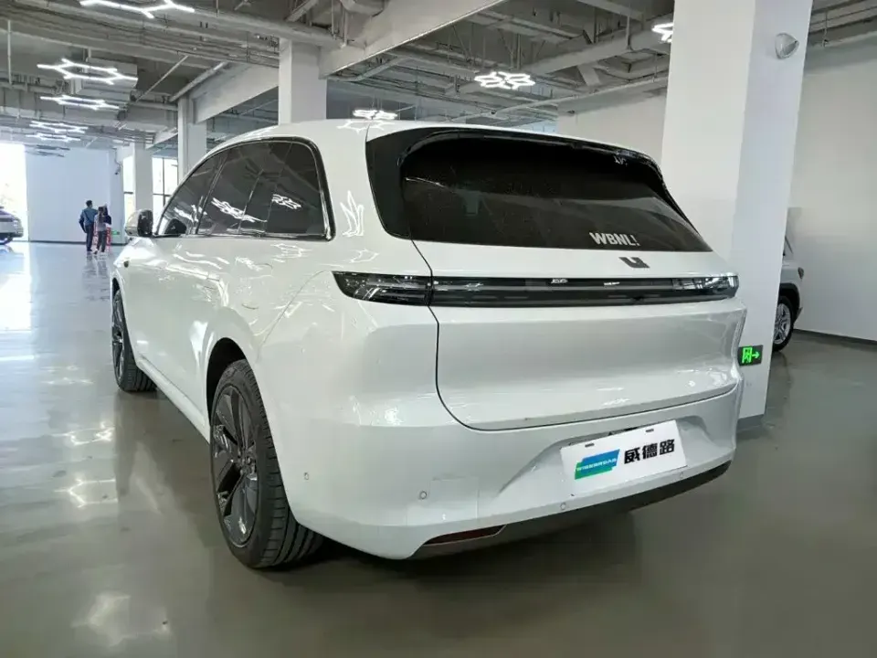 Li Li L6