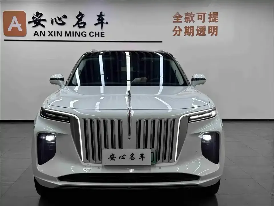 Hongqi Hongqi E-HS9