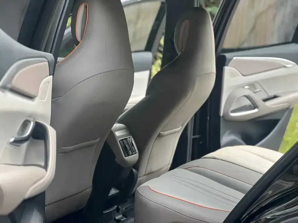BYD Pro New Energy