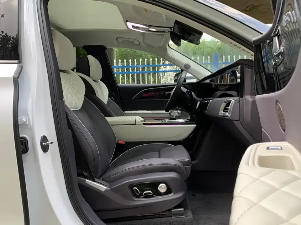 Hongqi Hongqi E-HS9