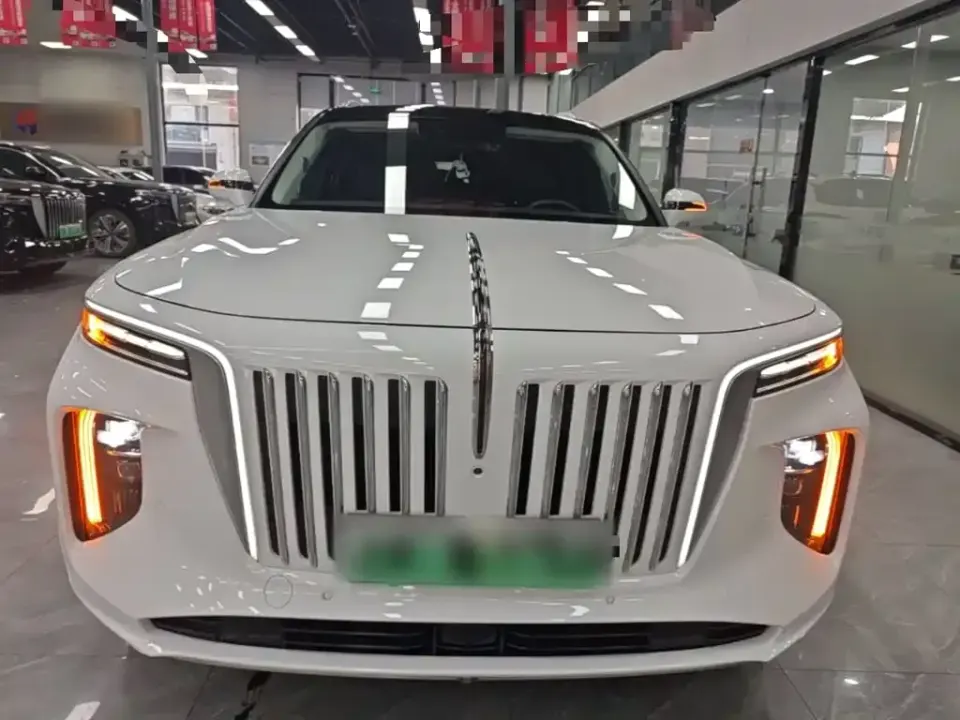 Hongqi Hongqi E-HS9