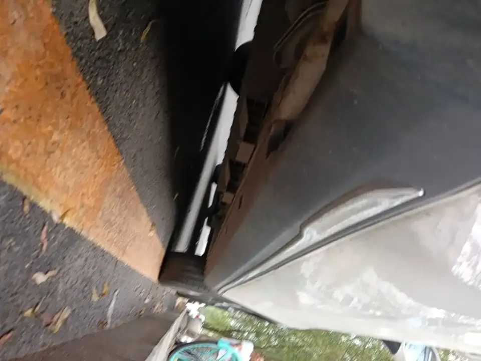 Neta Neta V