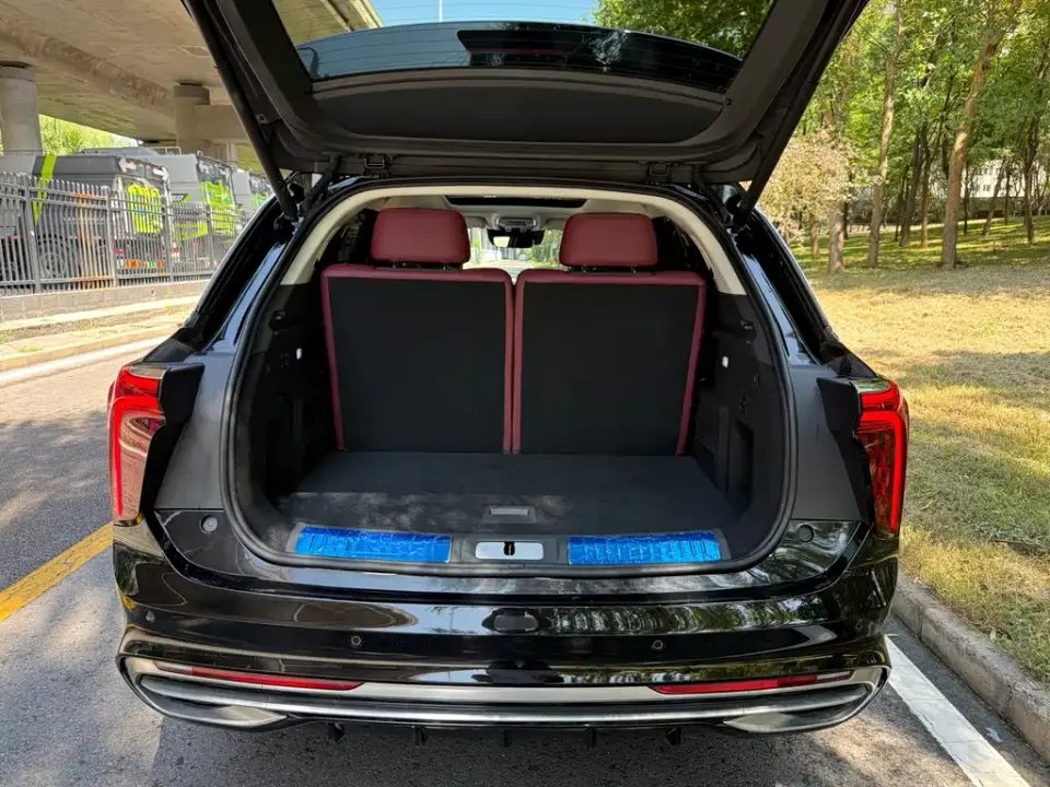 Hongqi Hongqi E-HS9