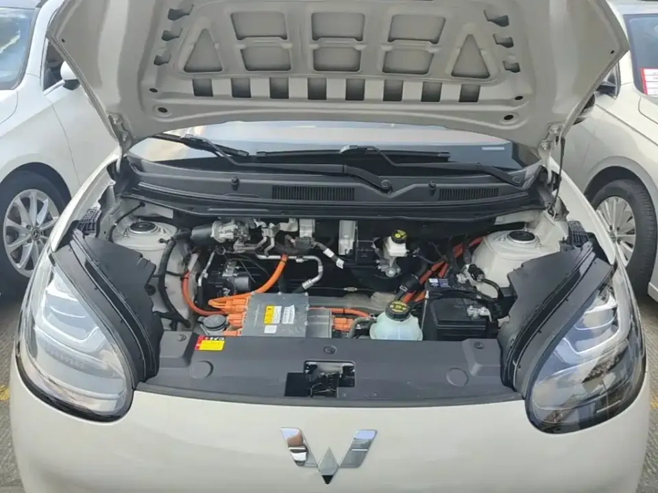 Wuling Bingo