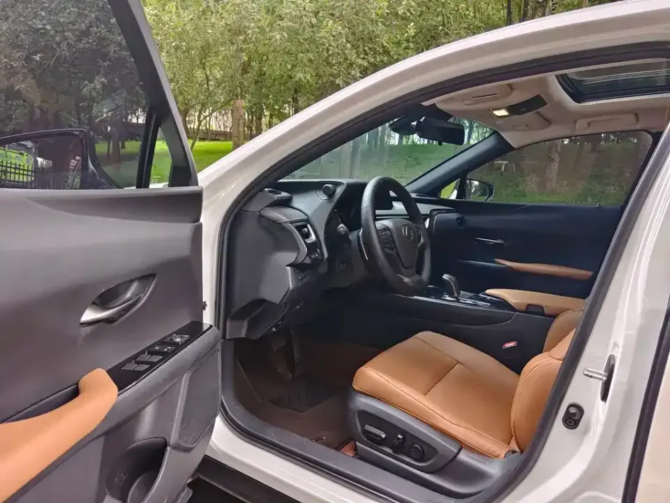 Lexus UX New Energy
