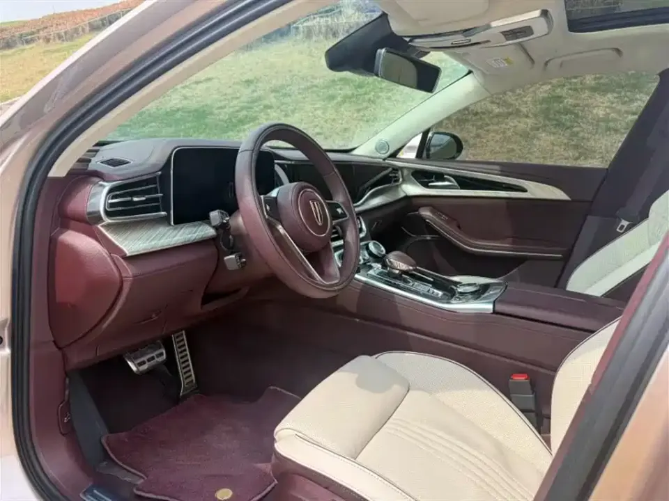 Hongqi Hongqi H9
