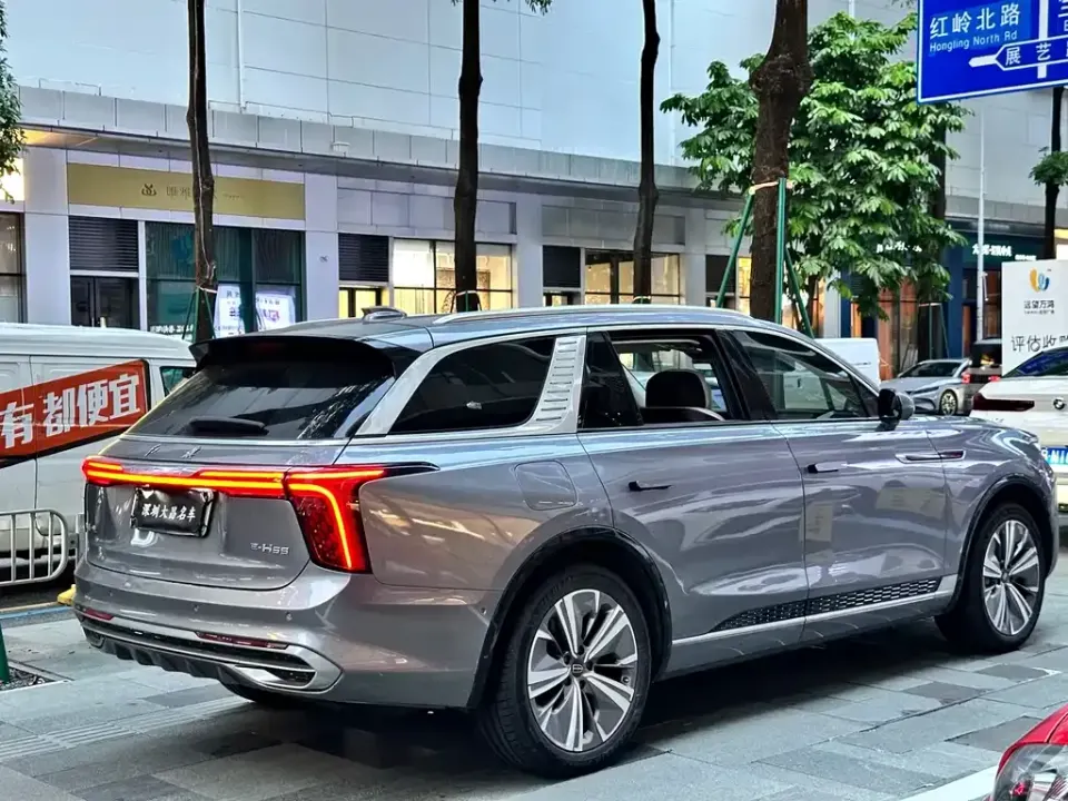 Hongqi Hongqi E-HS9