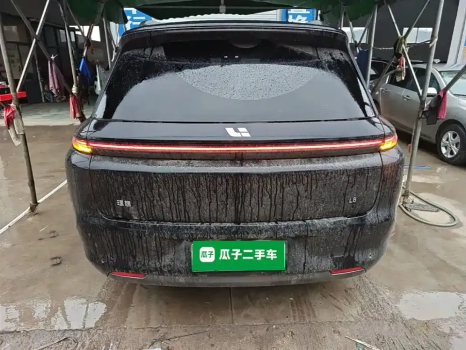 Li Li L8