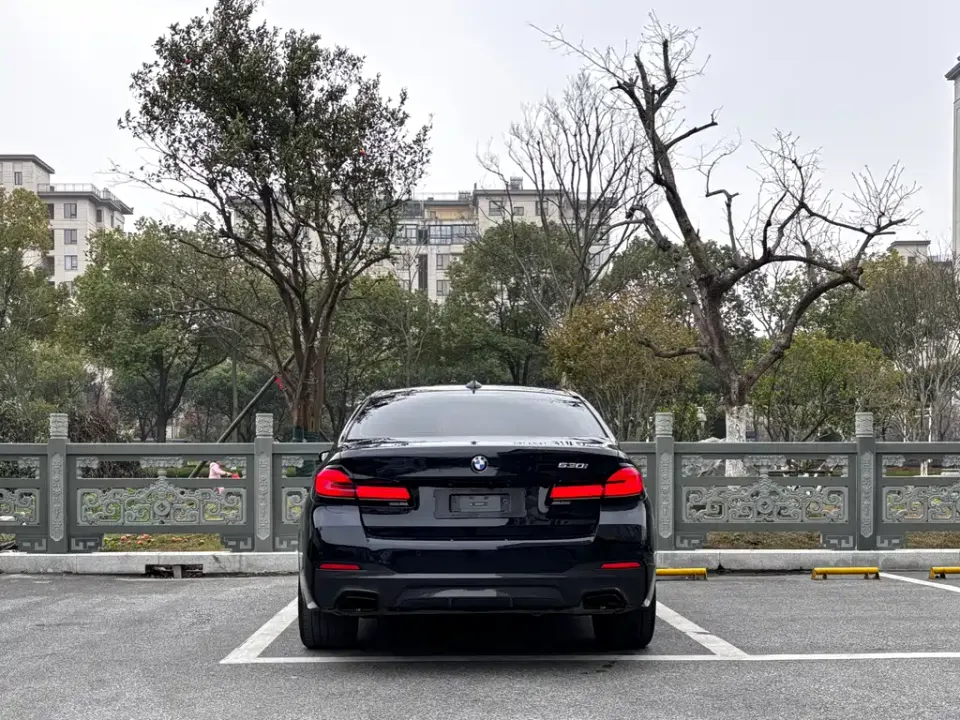 BMW 5 Series (Import)