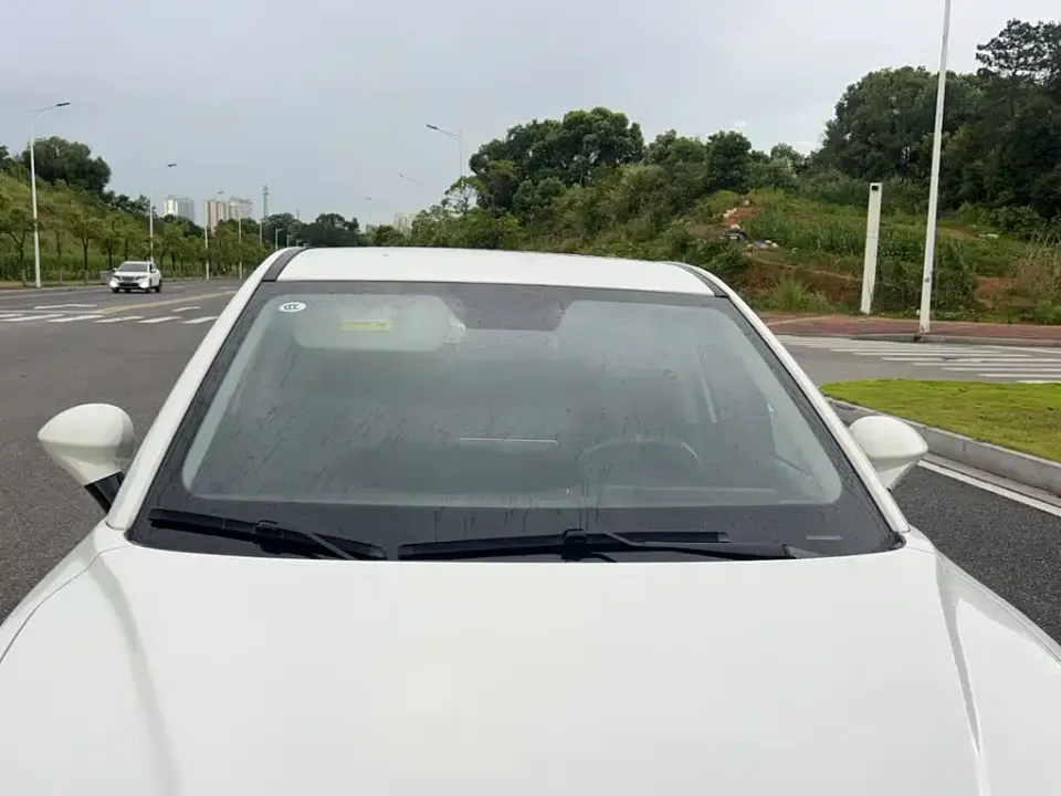 Neta Neta V