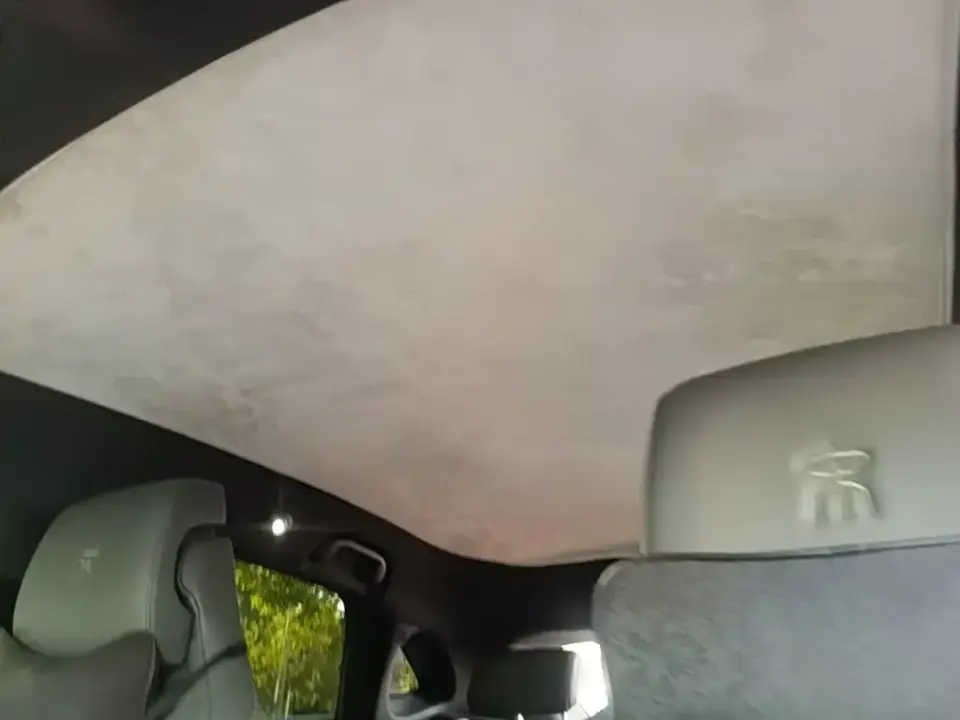 BYD L EV
