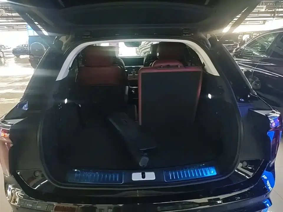 Hongqi Hongqi E-HS9