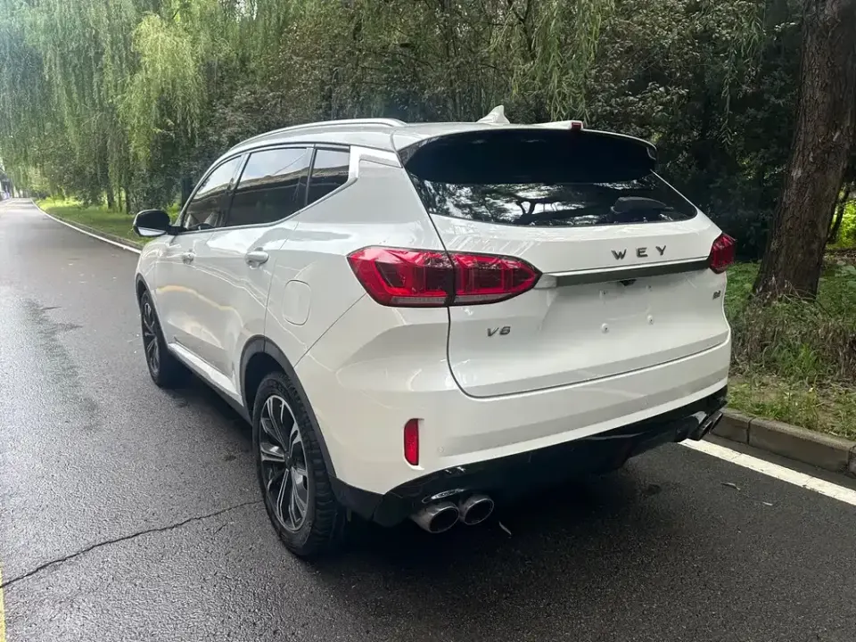 WEY Wey VV6
