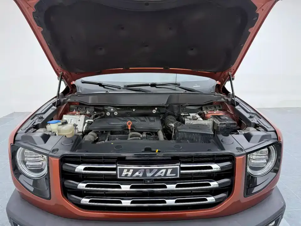 Haval Big Dog
