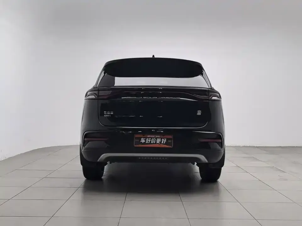 BYD Tang New Energy