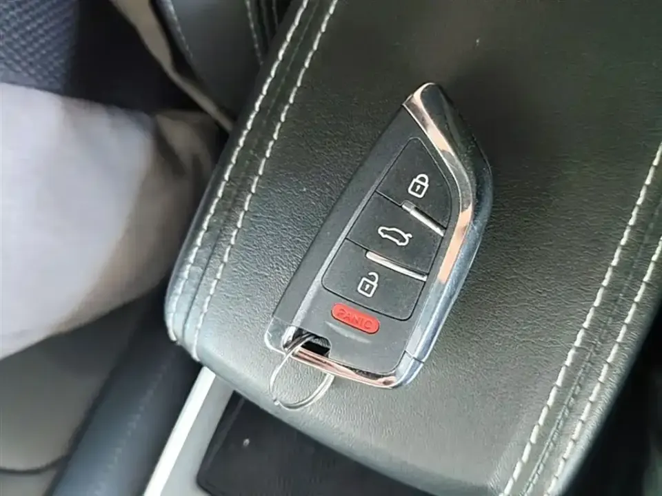 Neta Neta V