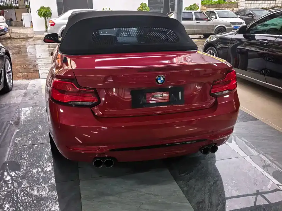 BMW 2 Series (Import)