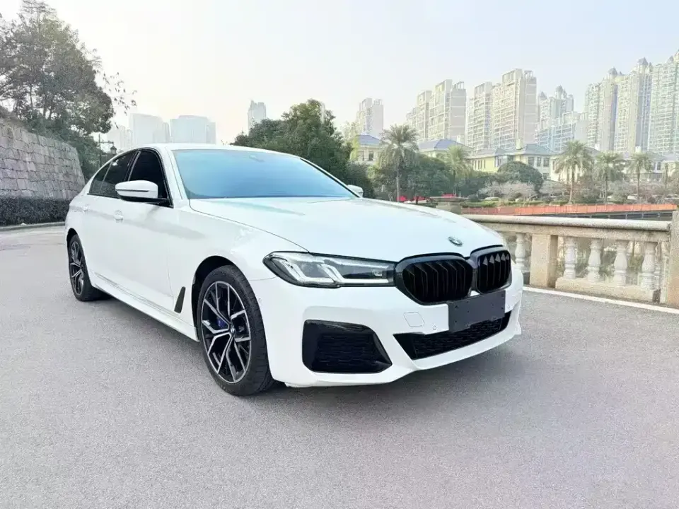 BMW 5 Series (Import)