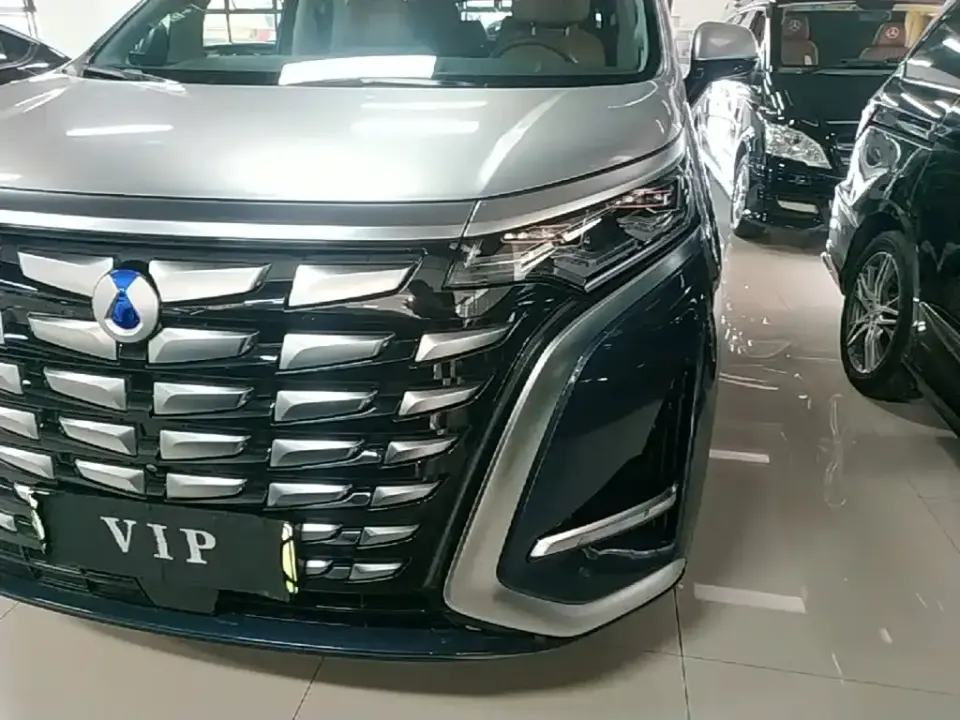 Denza Denza D9