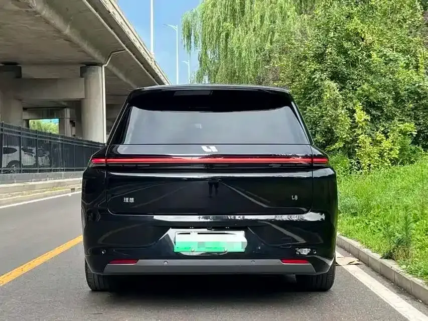 Li Li L8