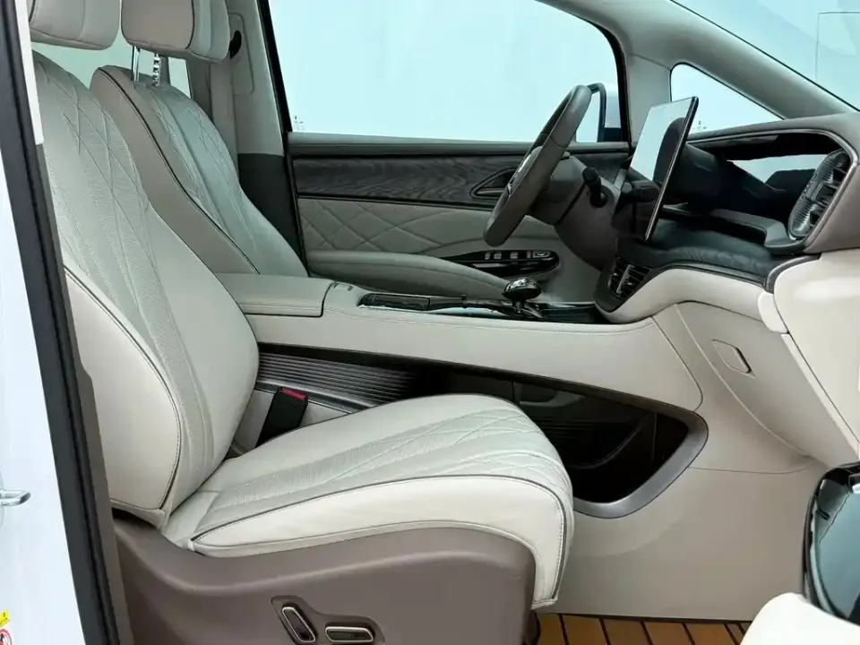 Denza Denza D9