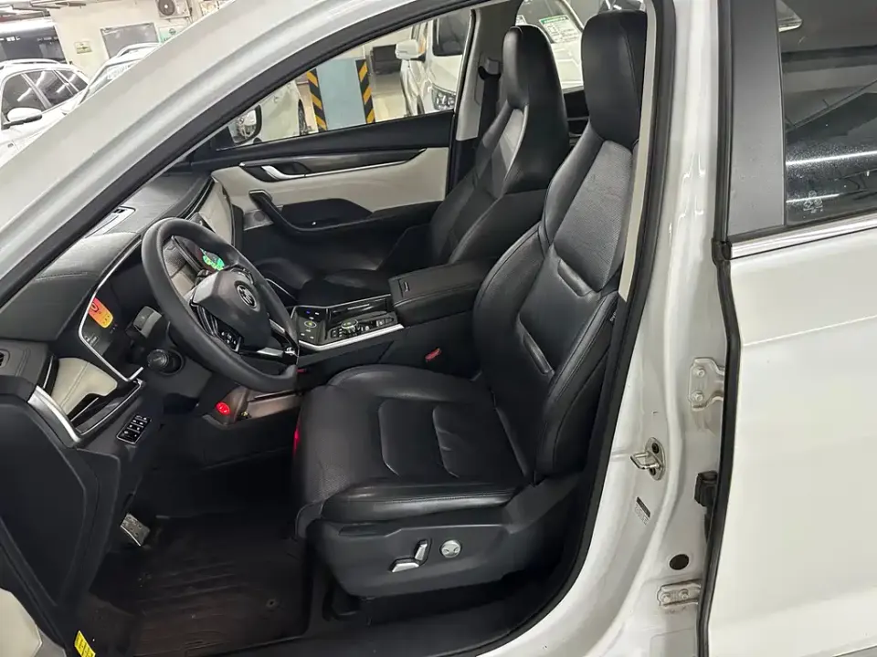 WM Motor EX5
