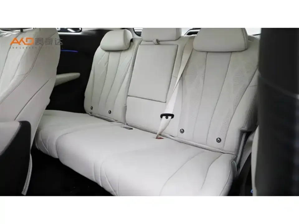 Denza Denza D9