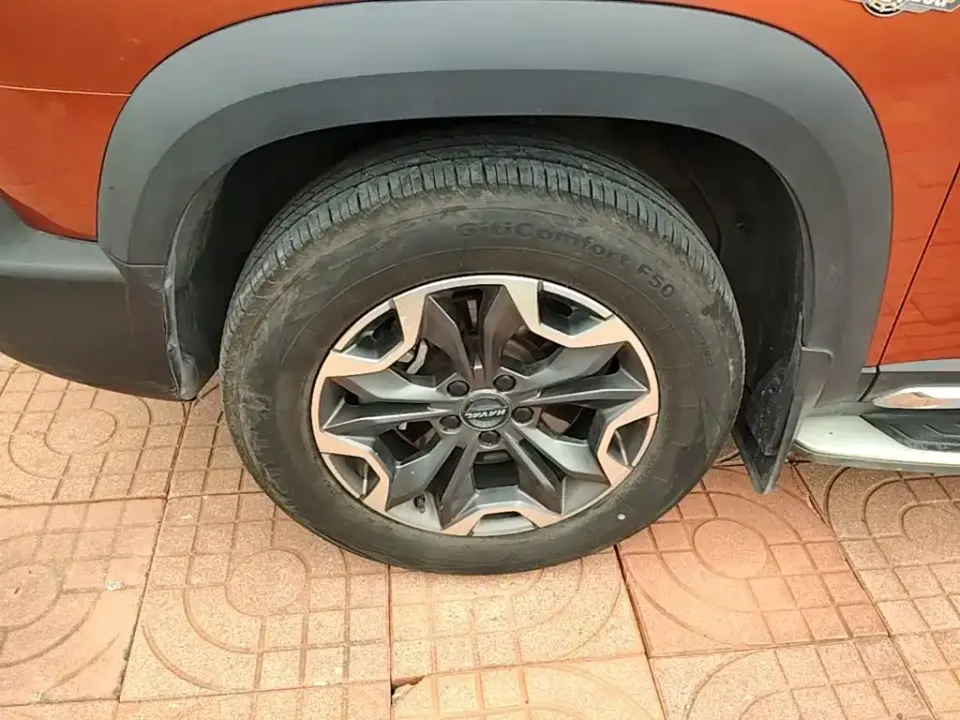 Haval Big Dog