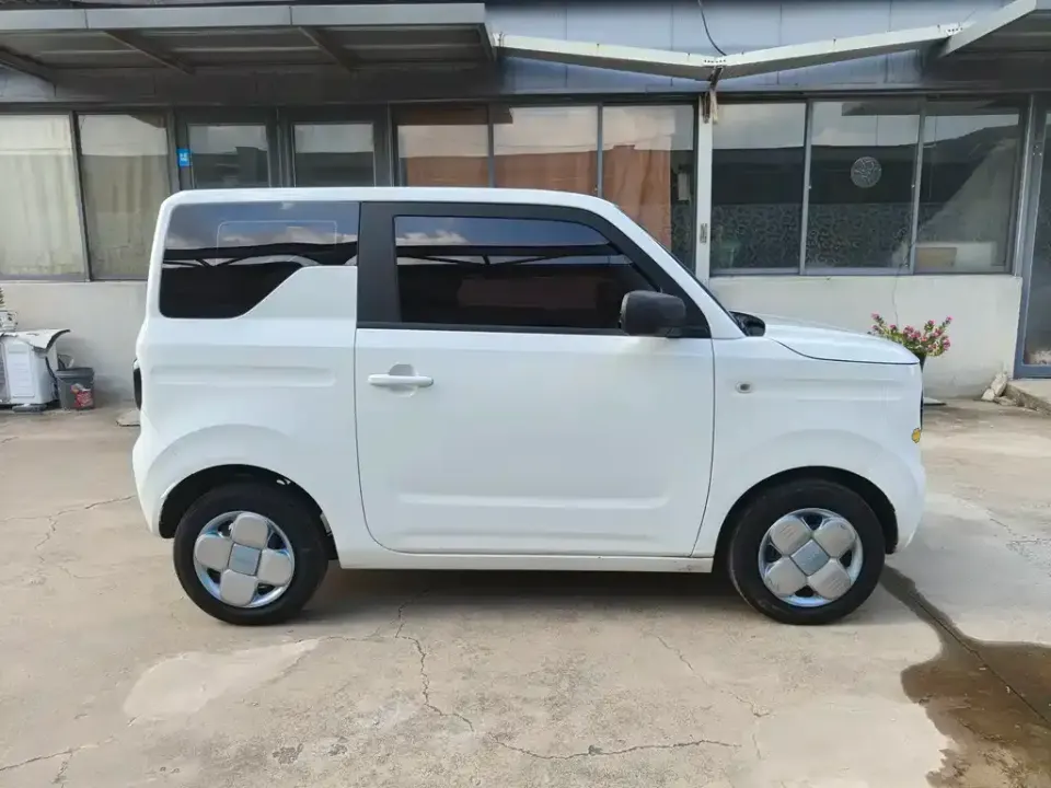 Galaxy Panda