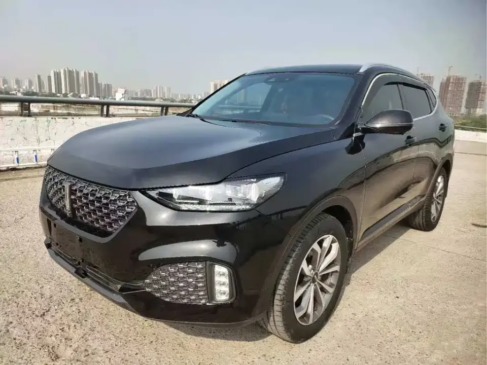 WEY Wey VV6
