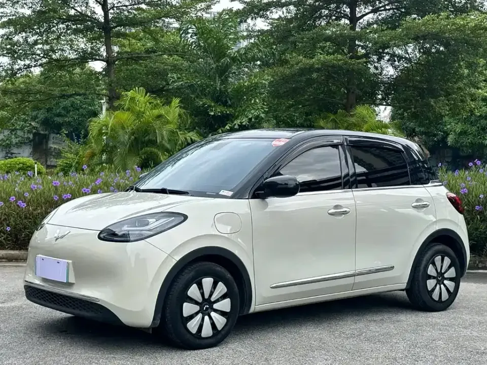 Wuling Bingo