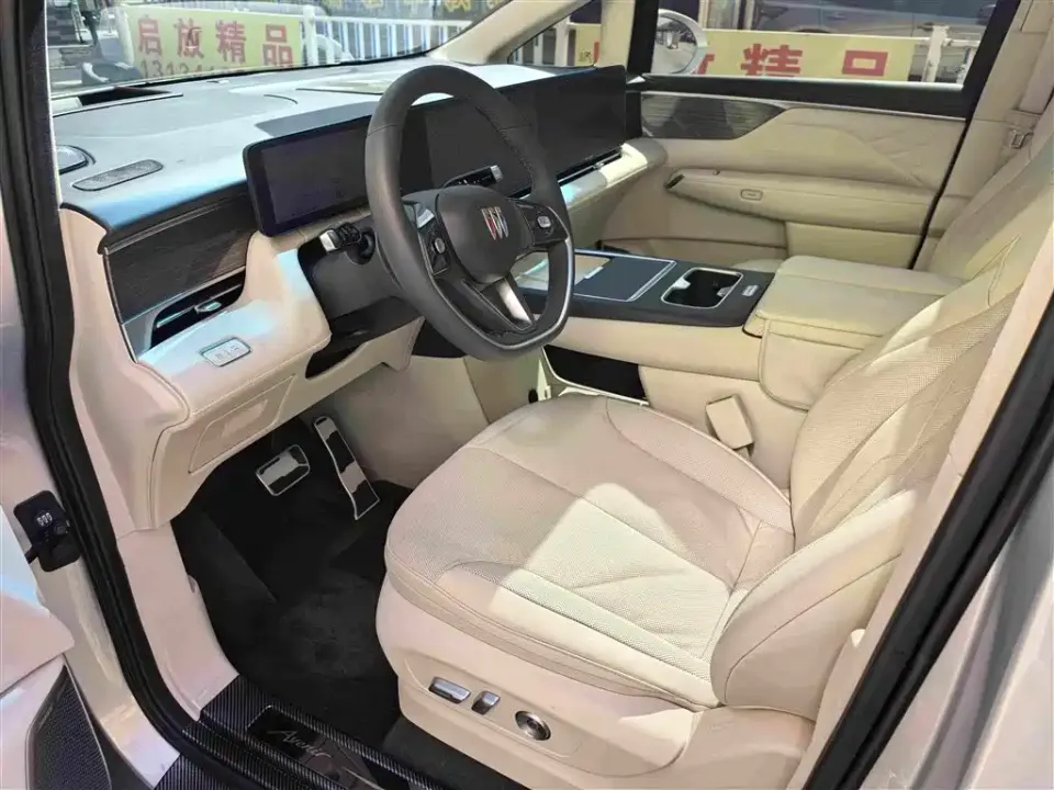 Buick Electra Encasa