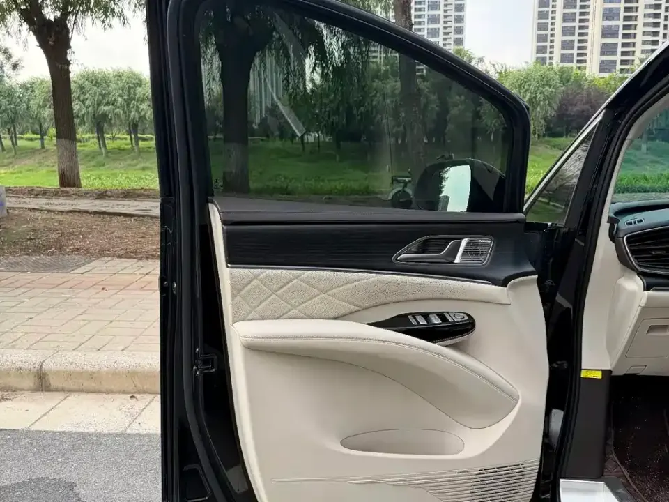 Denza Denza D9