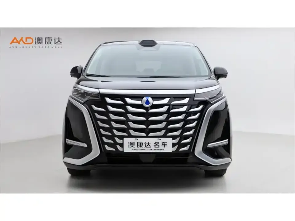 Denza Denza D9