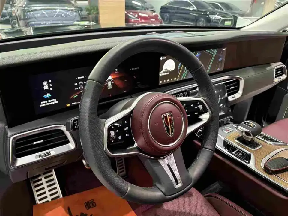 Hongqi Hongqi E-HS9