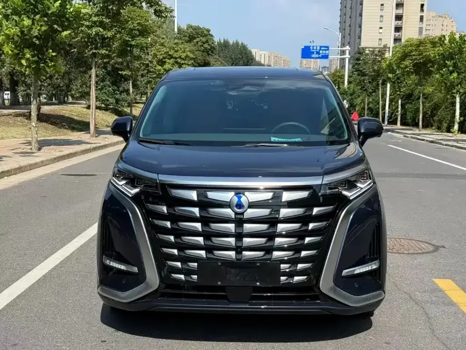 Denza Denza D9