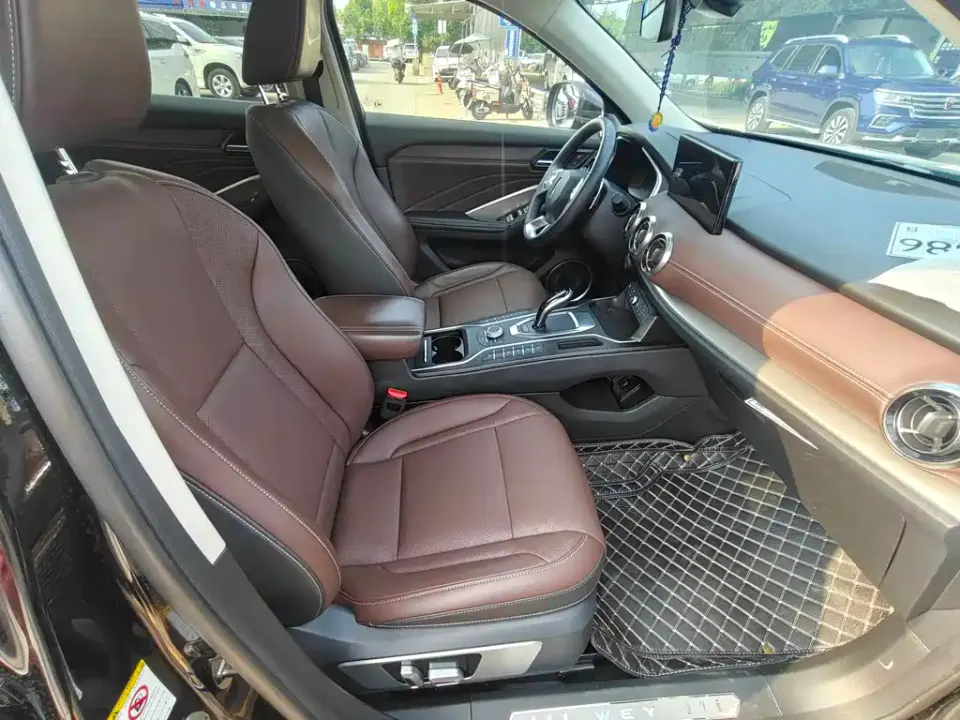 WEY Wey VV6