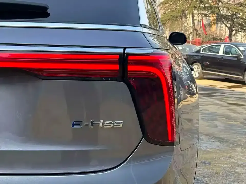 Hongqi Hongqi E-HS9